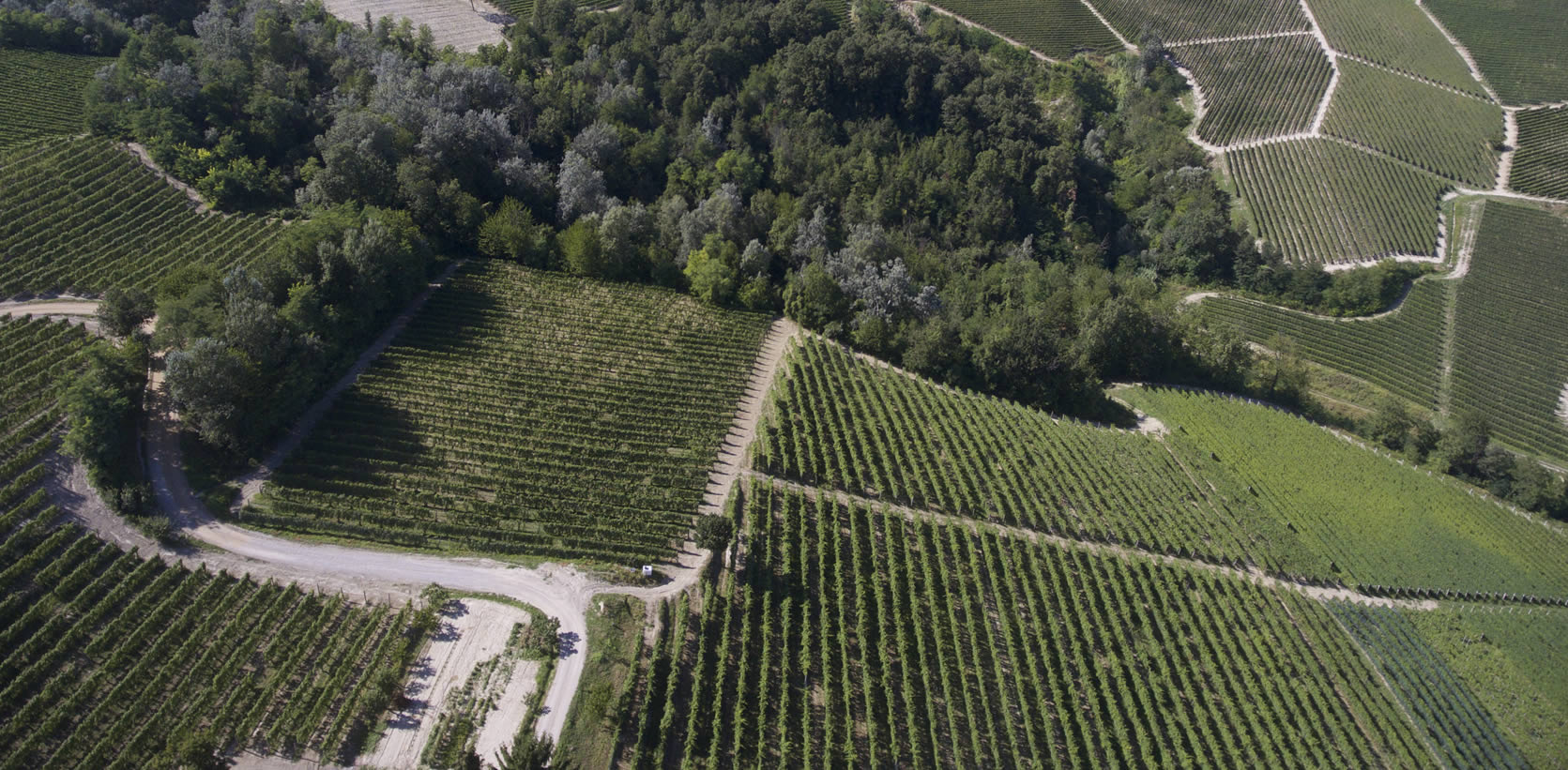 Liste - Barolo - Barolo Cannubi