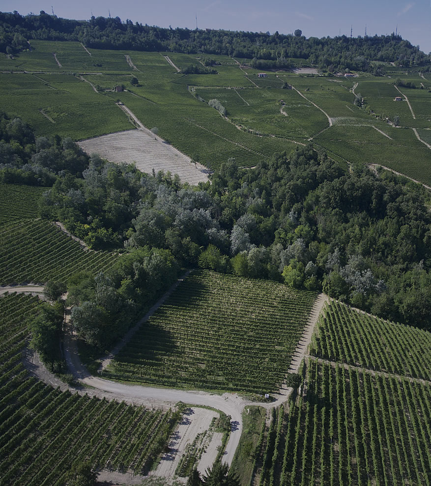 Liste Barolo Borgogno